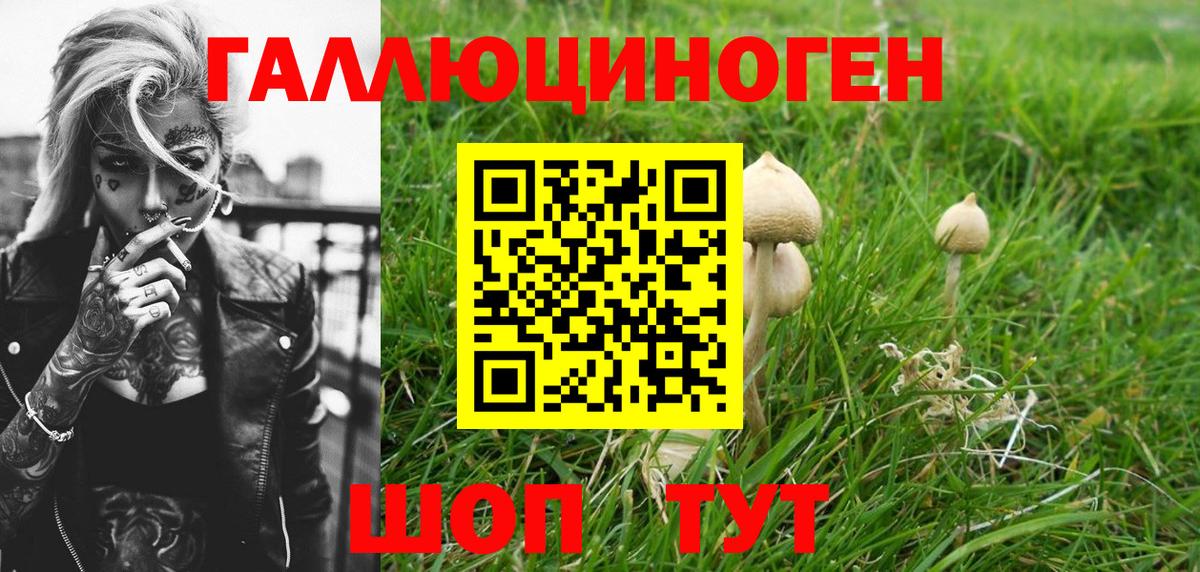 Ирбит  Галлюциногенные грибы прущие грибы  Вход с VPN  Псилоцибиновые грибы Psilocybine cubensis 